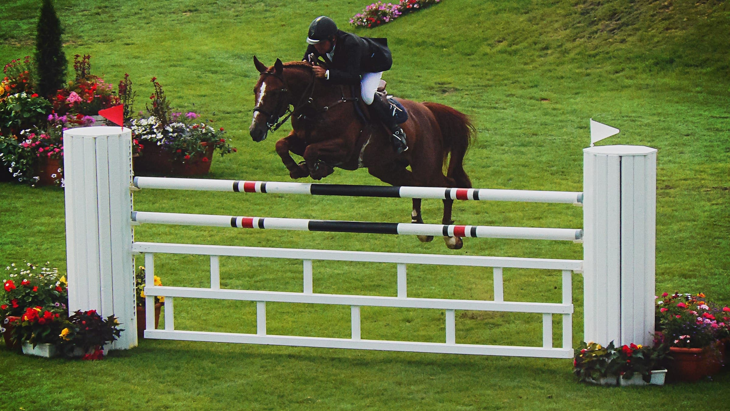 A horse and rider clearing a fence at a show jumping competition